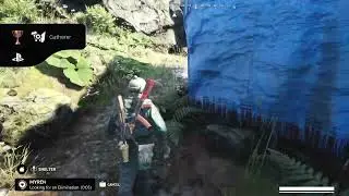 Vigor short in game play Gatherer trophy .