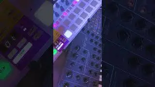 Filter Kick Sound // MS-20