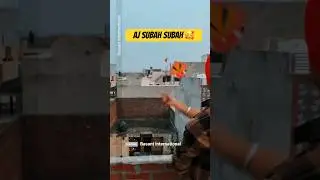 kite flying video #earlymorning #patangbaz #ajsubahsubah #basantfestival