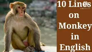 10 Lines on Monkey 🐒 in English//Essay on Monkey//Paragraph on Monkey//Monkey