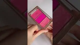 An Affordable 3-1 Blush Trio Palette?😍💗