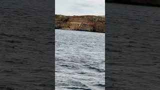Malta And Gozo Island Ferry ⛴️ View .It&rsquo;s View Of Small Island Comino.🇲🇹🇲🇹🇪🇺🇪🇺🇳🇵🇳🇵🇳🇵🙏