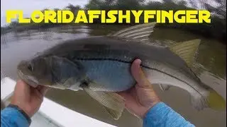 SLAMMING SNOOK on the Technical Poling Skiff - A Day to Remember
