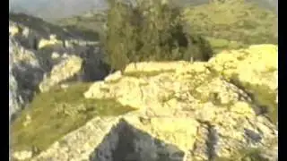 Gonnoi - DZG