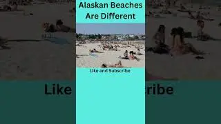 Beaches In Alaska Compared To Your Beach  #shorts