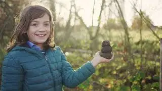Kom werken in de natuur 🌿🍃🌳