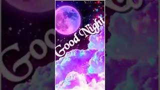 Good Night WhatsApp Status Video Good Night Status Video Good Night 2/12/2023#goodnight