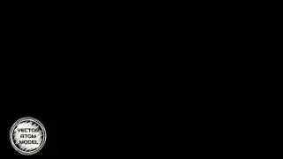 Vector Atom Model