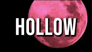 Catalyst Collective- Hollow
