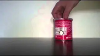 Pringles Cannon