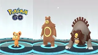 Teddiursa, Ursaring, Ursaluna Full Evolution - Pok&eacute;mon GO
