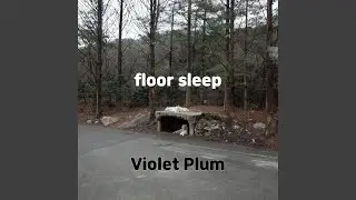floor sleep