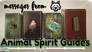 🐺Spirit Animal Messages🕊️-Pick A Card-Tarot Reading // Messages from animal spirit guides/totem.