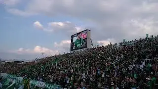 2018/07/21 アルウィン　　松本山雅選手紹介時の「Crowdchant」生演奏 　ギタリスト山口和也