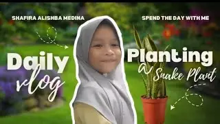 Planting a Snake Plant | Shafira's Daily Vlog | Holiday Activity