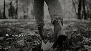 Στο δάσος του μυαλού μου