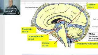 Anatomy for applied medical science(Radiology Department) 7 (Meninges and CSF), by Dr.Wahdan