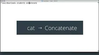 cat , less  Viewing Files Shell P8