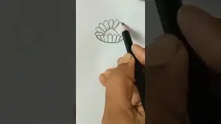beautiful flower #zenia flower #youtubeshorts #drawingtutorials #shorts