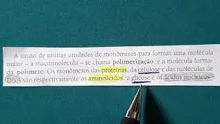 2. Mon&ocirc;meros e pol&iacute;meros