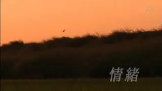 [Vietsub] Akatonbo - Yuki Saori & Yasuda Sachiko
