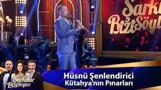 Hüsnü Şenlendirici -  KüTAHYANIN PINARLARI