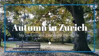 Fall day in Zurich, Unterstrass. Ottikerstrasse, Schindlergut, Beckenhof. Autumn leaves. Switzerland