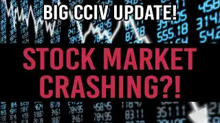 STOCK MARKET CRASH! - What You Should Do! + CCIV Update & Stock Price Prediction