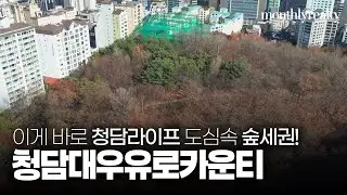청담대우유로카운티 펜트하우스! 이게 바로 청담라이프와 도심속 숲세권이다!