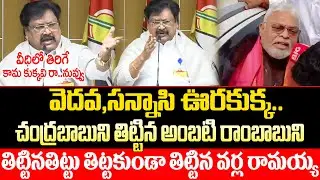 Are you a lustful dog roaming the streets? | AP Breaking News | Ambati Rambabu Bad Words Controversy