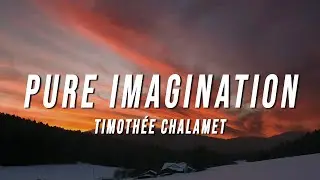 Timoth&eacute;e Chalamet - Pure Imagination (Lyrics) from Wonka
