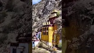 shakyamuni Buddha #shakyamuni_buddha #india @shakyamunibiographyofbuddh563