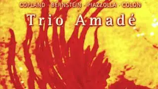 Piazzolla 4 Seasons Trio