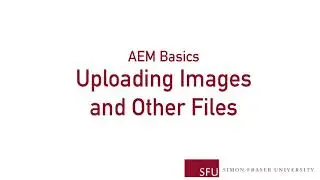 AEM Basics: Uploading Images and Other Files