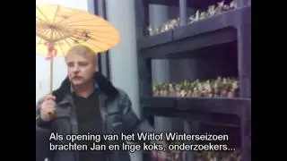Espel zet witlof op de kaart