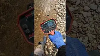 River Treasure Hunting with Metal Detector #shorts #metaldetecting #treasurehunting