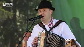 Jozef Opatovský: Sedí sokol na javori