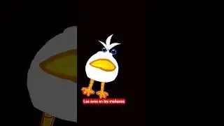 asi pelean las aves  #humor #videoshorts #viral #aves