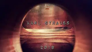 Karl Strauss - The Pool Boy (Alternative/Electronic Instrumental)