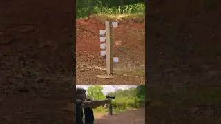 The Ultimate Competition Dueling Tree
