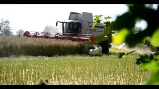Żniwa rzepak  2014 Haasefarm woj.pomorskie claas lexion 770