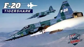 F-20 TIGERSHARK: O F-5 