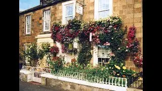 Forth Guest House Stirling | B&B Stirling | accommodation Stirling