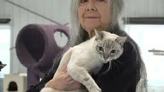 See How 'Save A Kitty' Is Giving Forgotten Cats a Second Chance