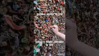 Chewing Gum Wall #shorts #short #fastfacts #quicklearning