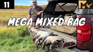 MEGA MIXED BAG DUCK HUNT DIY Hunting Mallard Pintail Teal Gadwall Migration Waterfowl 2025