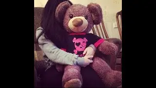 Happy Teddy Bear Day Whatsapp Status#teddy#status