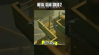 Never Mess With Seagulls in Metal Gear Solid 2