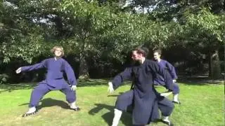 Fuhu Quan (Tiger Form) and application - Wudang Kungfu 武当武术伏虎拳