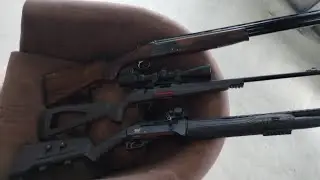 Axor Arms Bushpig  / Webley & Scott 912 / Winchester Xpert 22LR / Ruger American 308 